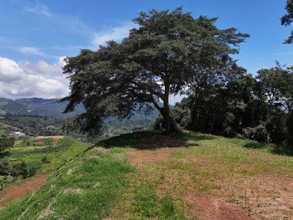 Lote de 7.002 m² a la venta en Atenas, Alajuela