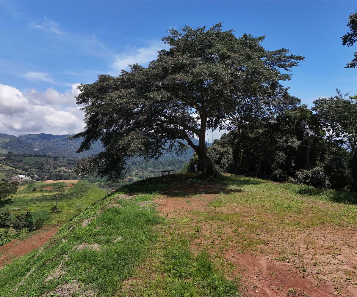 Lote de 7.002 m² a la venta en Atenas, Alajuela