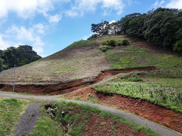 Lote de 7.000 m² a la venta en Atenas, Alajuela.