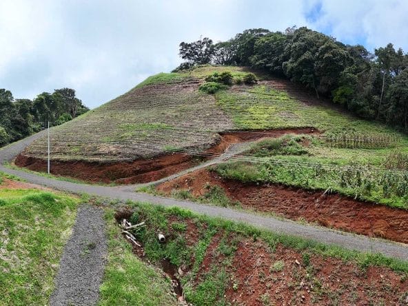 Lote de 7.000 m² a la venta en Atenas, Alajuela.