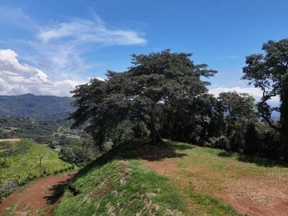 Lote de 7.002 m² a la venta en Atenas, Alajuela