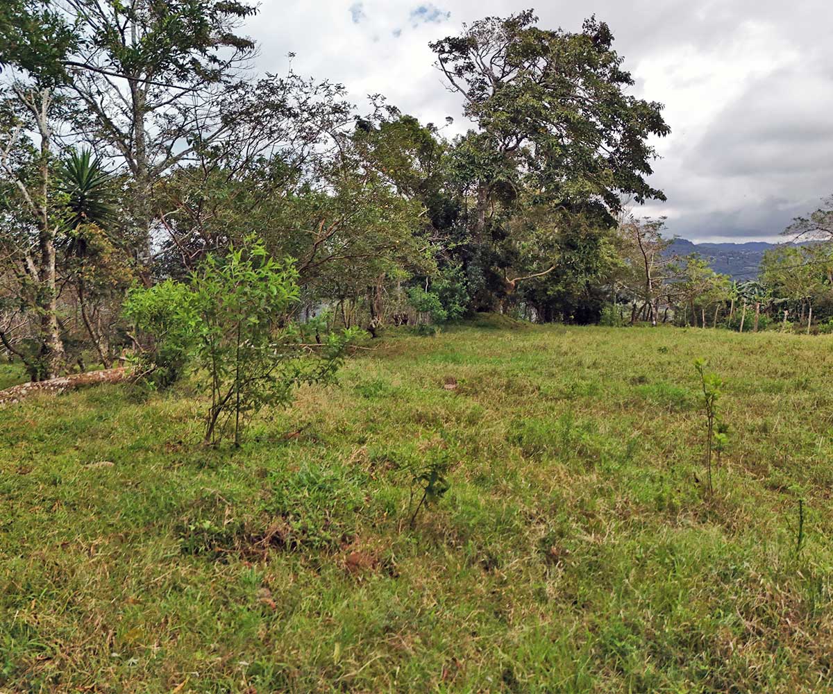 Lote de 1857 m2 a la venta en La Guaria, Piedades Sur, San Ramón